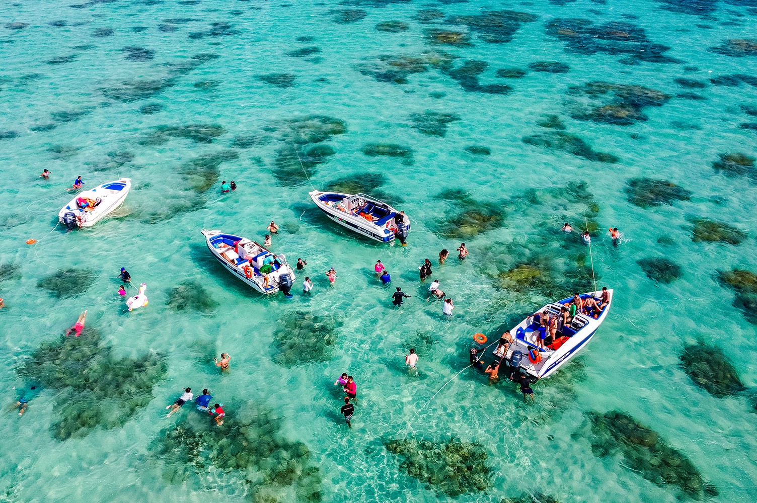 PEROBAS COM A POTIGUAR TURISMO